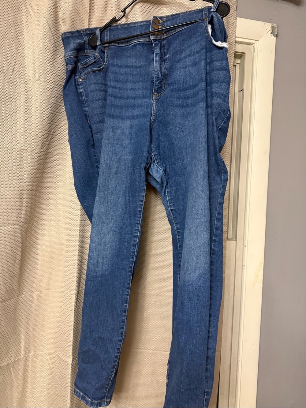 Lane Bryant Skinny Jeans in Medium Blue Wash